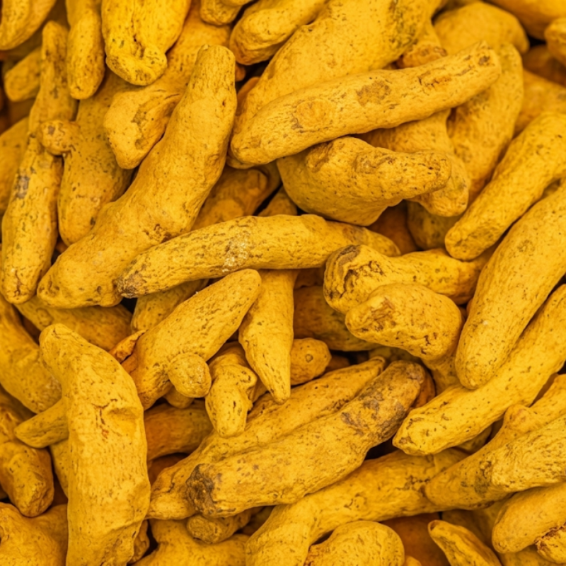 High Curcumin Turmeric Export — Erode Salem Fingers Bulbs and Powder